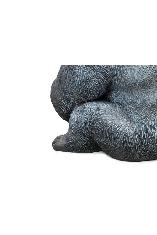 39378_gorilla_xl_76_8.jpg
