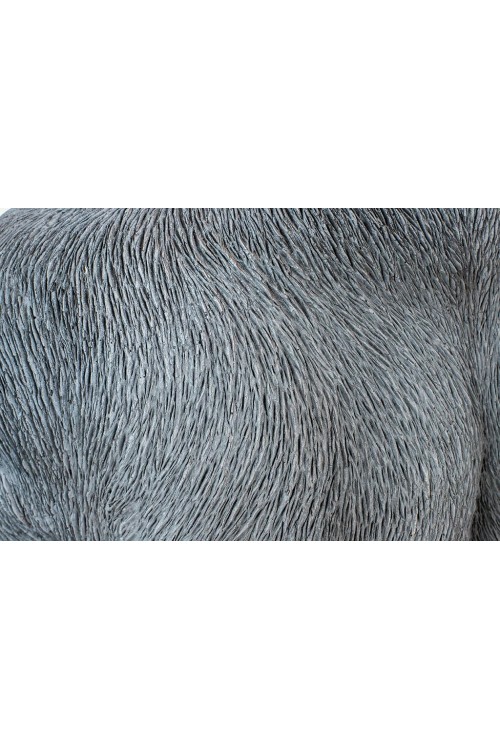 39378_gorilla_xl_76_9.jpg