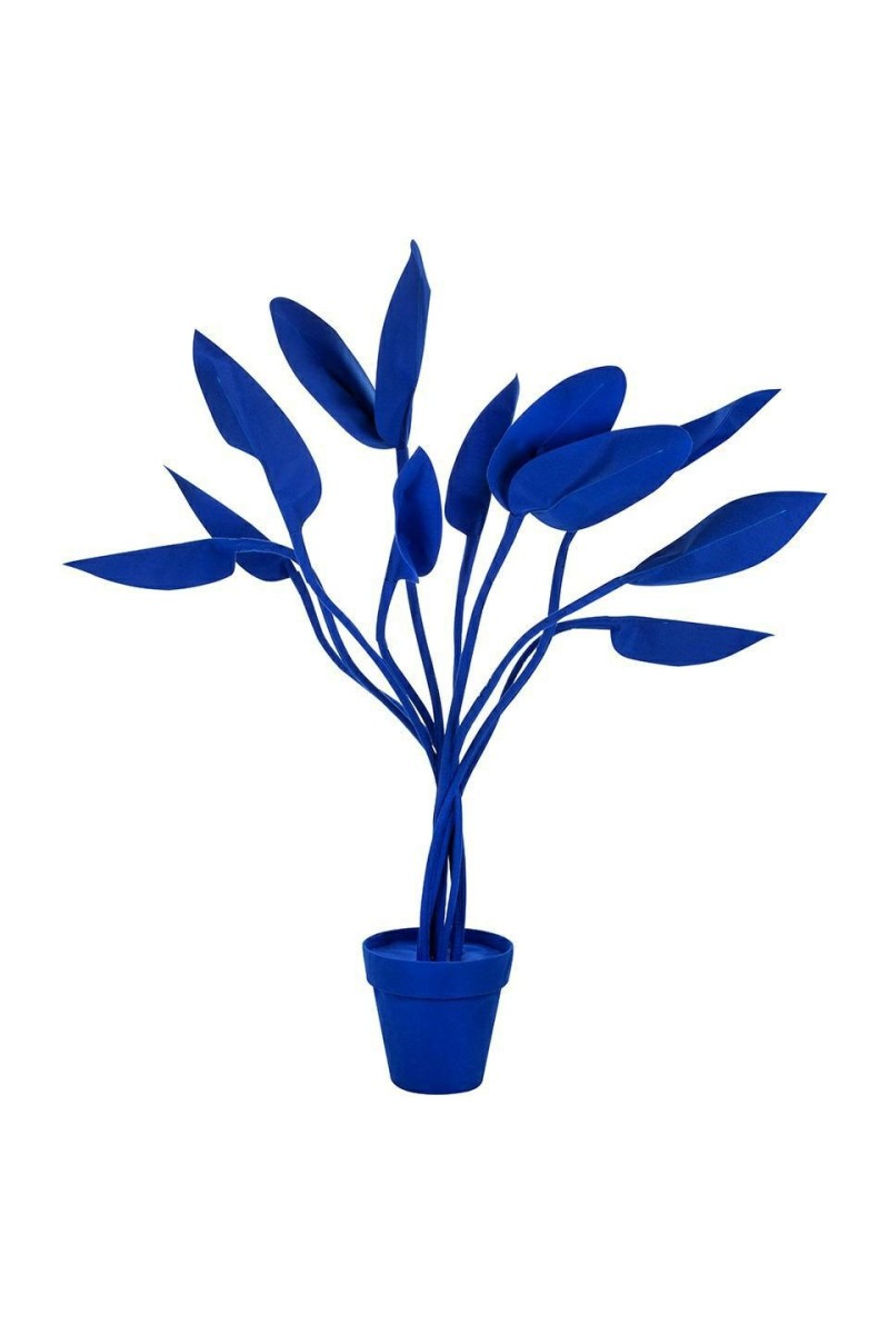 FLOWER.cobalt_strelicja_1.jpg