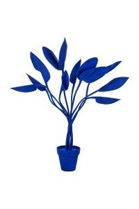 FLOWER.cobalt_strelicja_1.jpg