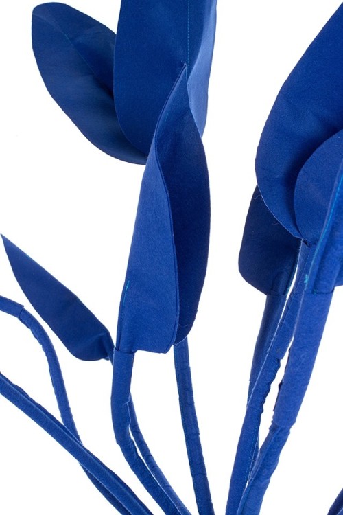 FLOWER.cobalt_strelicja_2.jpg