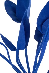 FLOWER.cobalt_strelicja_2.jpg
