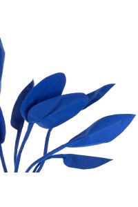 FLOWER.cobalt_strelicja_4.jpg