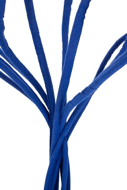 FLOWER.cobalt_strelicja_5.jpg