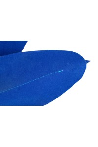 FLOWER.cobalt_strelicja_6.jpg