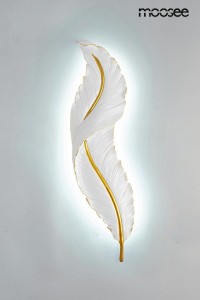 MSE010100386_ikar_60_4.jpg