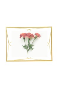 313016-221_prisa232%20%286%29.jpg