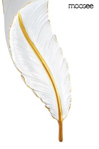 MSE010100387_ikar_7.jpg