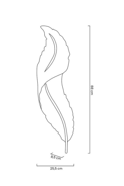MSE010100387_ikar80.jpg