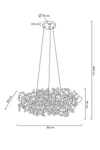 MSE1501100176_monete80.jpg