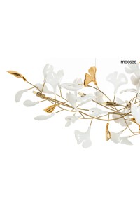 MSE1501100483_flora_pp_250_3.jpg