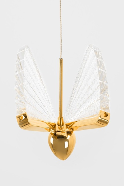 MSE1501100486_butterfly_disc_gold_6.jpg