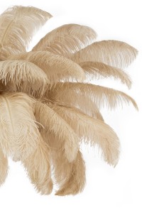 MSE1501100418_tiffany_khaki_2.jpg