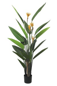51684_rosilnka1.jpg