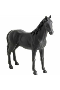 56800_5.jpg