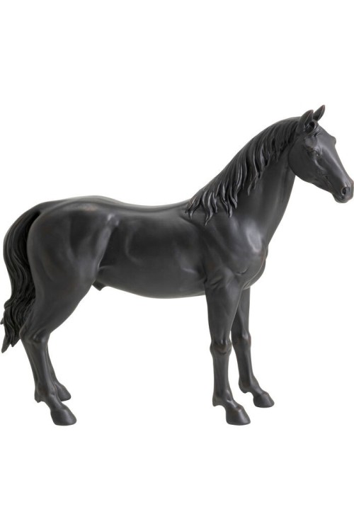 56800_1.jpg