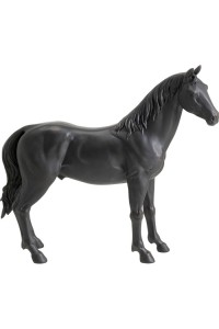56800_1.jpg