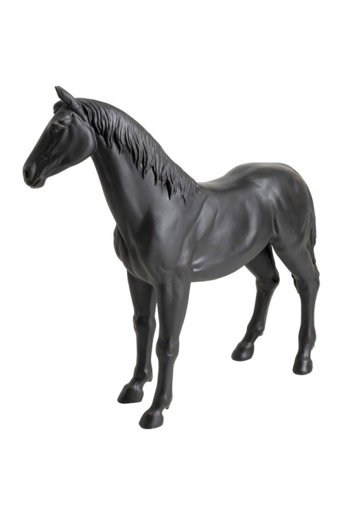 56800_7.jpg