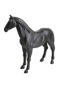 56800_7.jpg