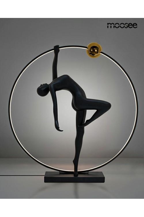 MSE1501100510_human_acrobatic2.jpg