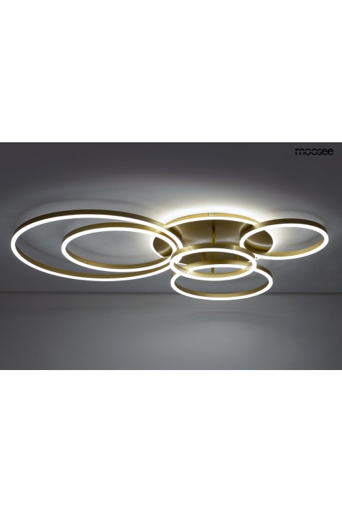 MSE1501100504_rings6_2.jpg