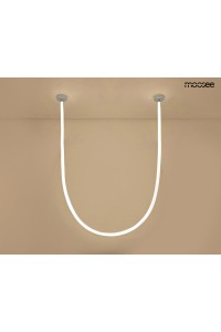 MSE15011004941_lasso600_2chrom.jpg