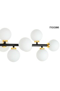 MSE010100117_cosmo_level_m_MSE010100117_2.jpg