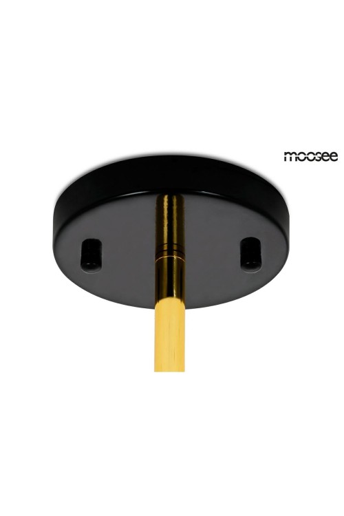 MSE010100117_cosmo_level_m_MSE010100117_6.jpg