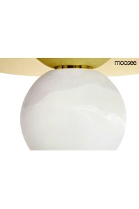 MSE010100142_halo_MSE010100142_3.jpg