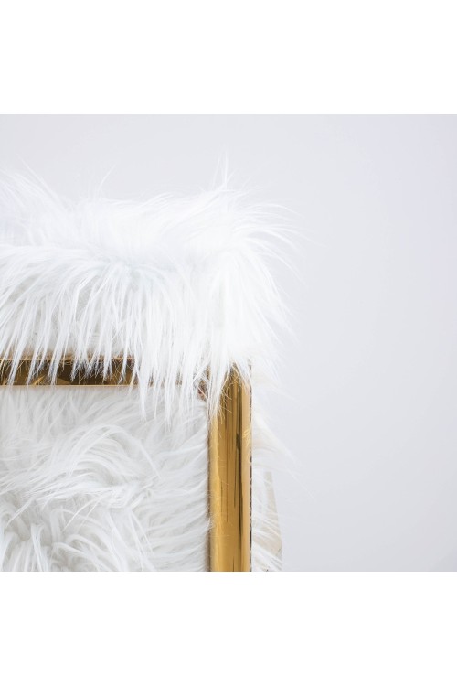 82669_fluffy_4.jpg