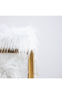 82669_fluffy_4.jpg
