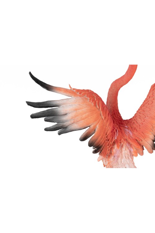 63948_flamingo_road_fly_7.jpg