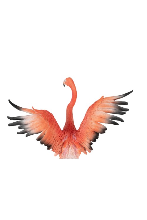 63948_flamingo_road_fly_11.jpg