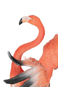 63948_flamingo_road_fly_13.jpg