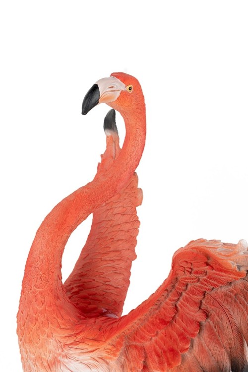 63948_flamingo_road_fly_14.jpg
