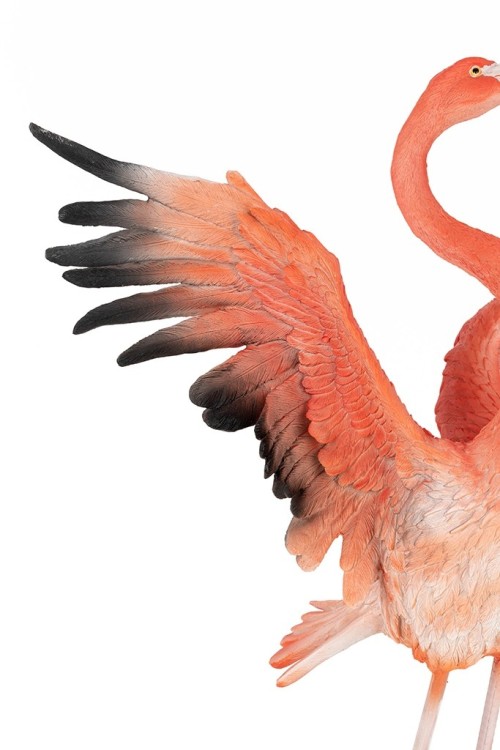 63948_flamingo_road_fly_16.jpg