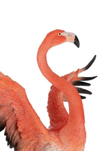 63948_flamingo_road_fly_17.jpg