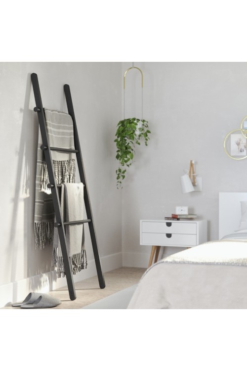 1017445-040_ladder0956%20%283%29.jpg