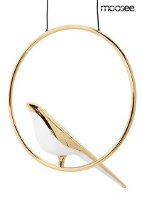 MSE010100295_bird_disc2.jpg