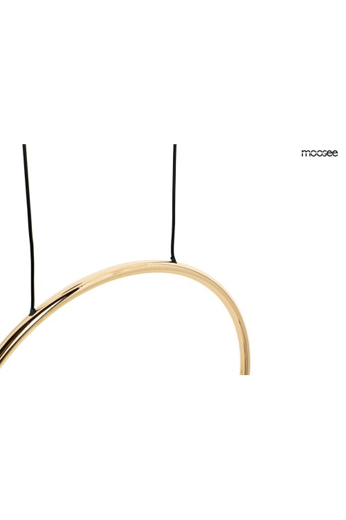 MSE010100295_bird_disc5.jpg