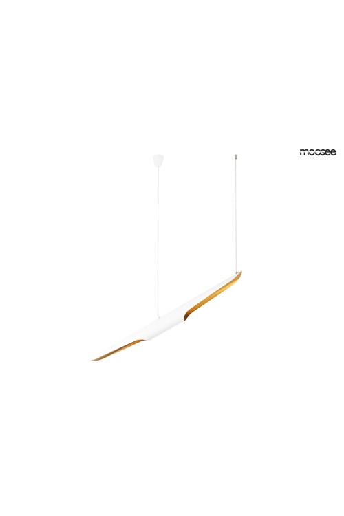 MSE010100351_conteo_white_logo_1.jpg