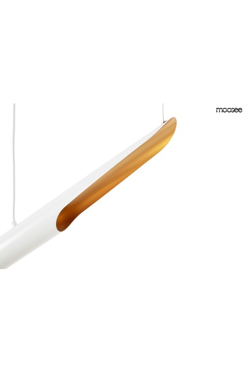 MSE010100351_conteo_white_logo_3.jpg