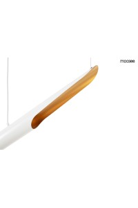 MSE010100351_conteo_white_logo_3.jpg