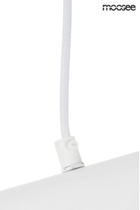 MSE010100351_conteo_white_logo_4.jpg