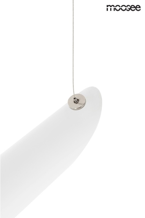 MSE010100351_conteo_white_logo_5.jpg