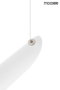 MSE010100351_conteo_white_logo_5.jpg
