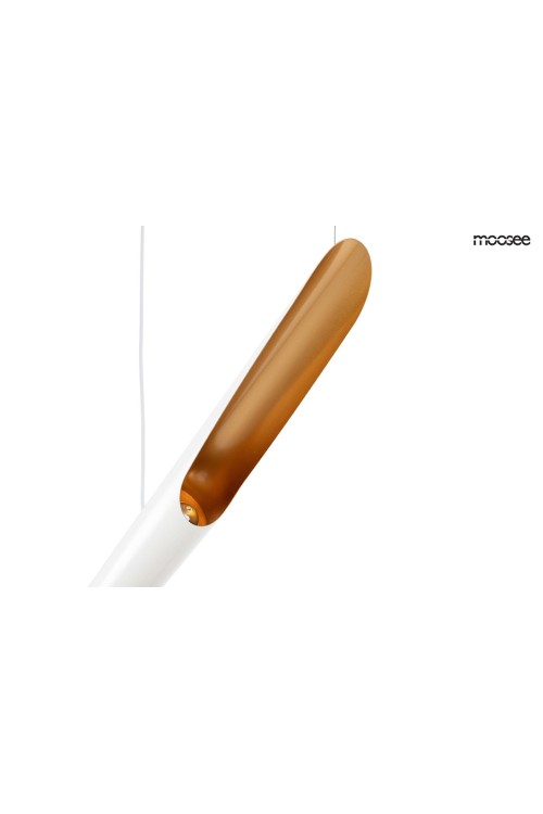 MSE010100351_conteo_white_logo_6.jpg
