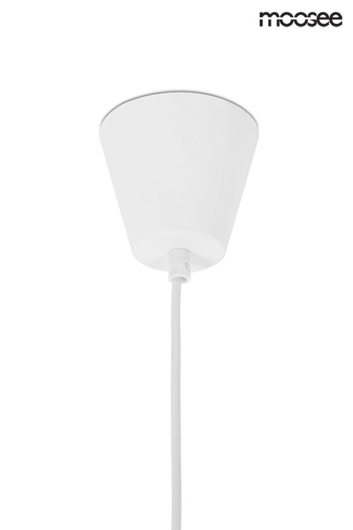 MSE010100351_conteo_white_logo_7.jpg