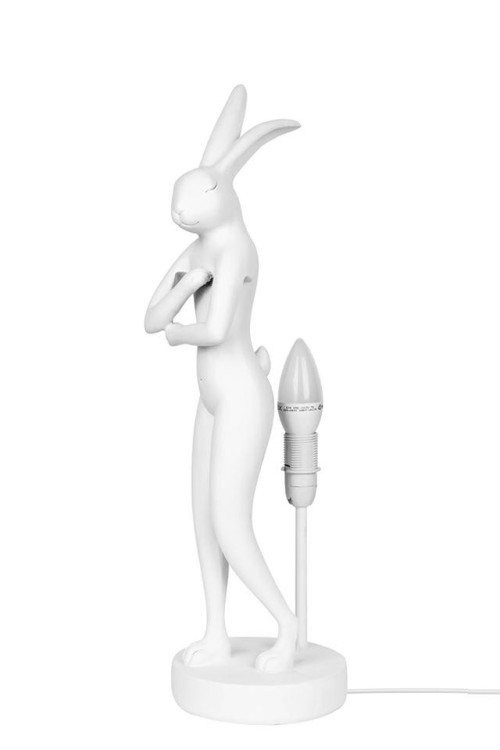 61599_rabbit_white_68_roz_2.jpg