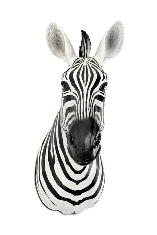 54761_zebra_d%C5%9B_0.jpg
